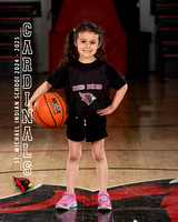 3167-bsktball