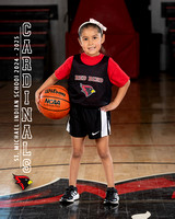 3156-bsktball